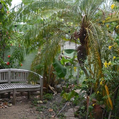 Palmetto Guesthouse Isla Culebra Extérieur photo