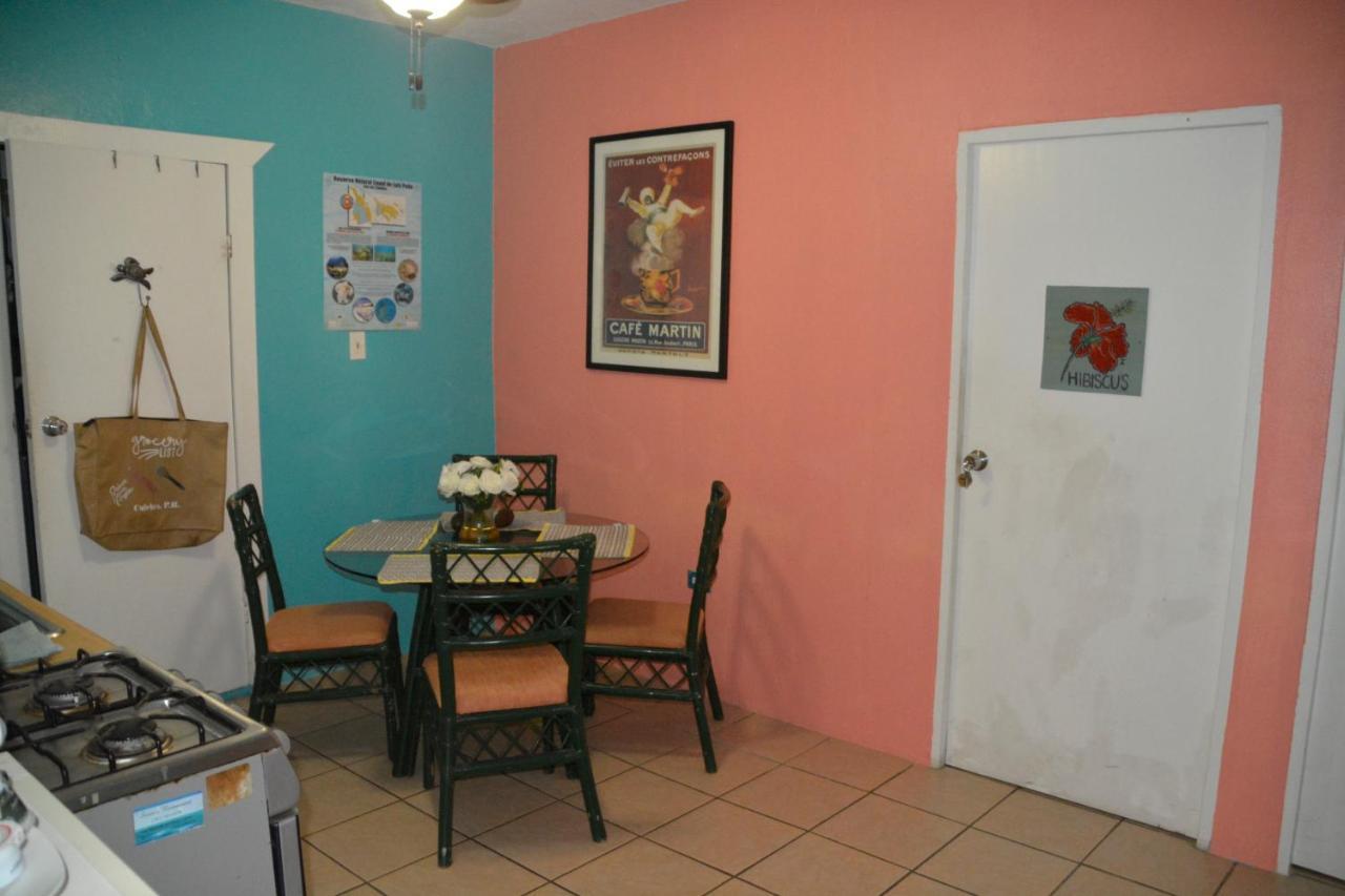 Palmetto Guesthouse Isla Culebra Extérieur photo